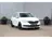 Škoda Fabia 1.0 TSI 95PK Active 5-drs 2019 Benzine