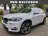 BMW X5 XDrive30d High Executive Airco/Clima Leder 20 Inch 2014 Diesel