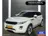 Land Rover Range Rover Evoque 2.0 Si 4WD Prestige 2014 Benzine