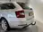 Škoda Octavia Combi 1.5 TSI Greentech Business Edition Plus, Nav 2020 Benzine 7