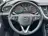 Opel Grandland X 1.2 Turbo Business Executive Cruise Control Climat 2019 Benzine 45