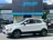 Ford EcoSport 1.0 EcoBoost Trend Ultimate | NAP | CARPLAY | NAVI 2019 Benzine